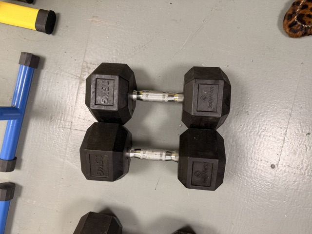 Used BodyMax GYM EQUIPMENT - PLEASE SEE LIST BELOW Dumbbells — photo 2